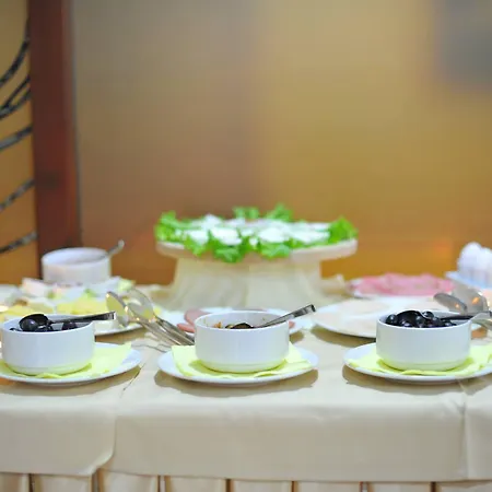 黄金酒店 4* 斯科普里