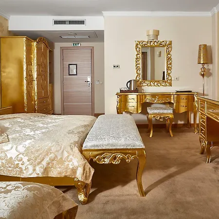 酒店 黄金酒店 4*