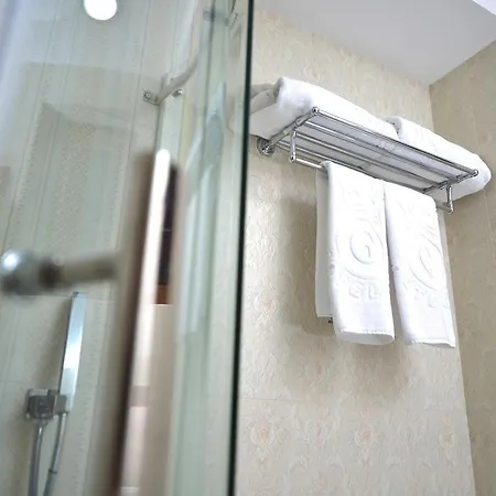 酒店 黄金酒店 4*